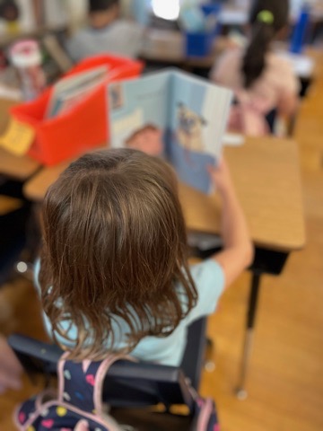 An early elementary student enjoys a book taken from the classroom library. The student can independently choose and put back their books due to the described classroom library organization and management system in place. 